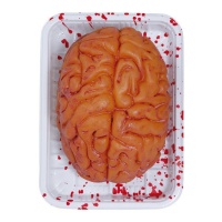 Tabuleiro com cérebro 20 x 14 cm
