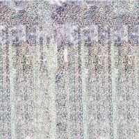 Cortina holográfica de 2 x 1 m