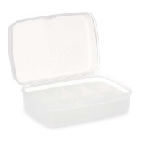 Caixa organizadora 21,5 x 15 x 15 x 8,5 cm - 8 compartimentos
