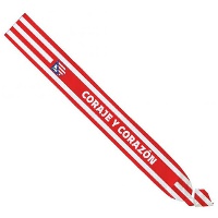 Faixa do Atlético de Madrid 