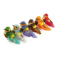 Conjunto de pequenos pássaros decorados com pinças - 6 pcs.