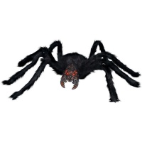 Aranha preta de 1 m