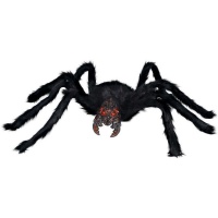 1 m de aranha preta