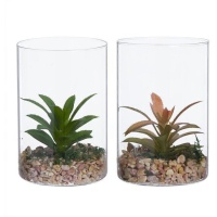 Cacto artificial com vaso alto de vidro sortido 10 x 15 cm