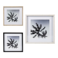 Moldura fotográfica Sombra de palmeira a preto e branco para fotografias de 25 x 25 cm - DCasa