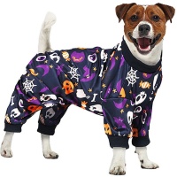 Fato de Halloween para cães