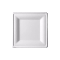 Pratos quadrados de cana de açúcar de 20 cm - 5 peças