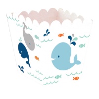 Caixa baixa Little Whale - 12 unidades