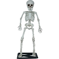 Esqueleto de pé de 55 cm