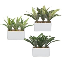 Planta artificial com vaso rectangular branco variado 24 x 20 cm