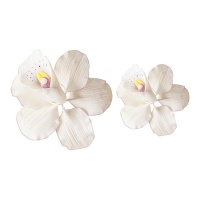 Figuras de açúcar de orquídea em dois tamanhos - Dekora - 14 unid.