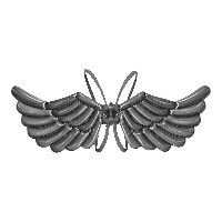 Asas de anjo negro de balão de 1,03 x 0,50 m