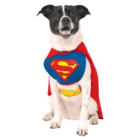 Fato de Super-Homem para cão