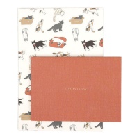 Folhas de carta com envelopes Friendly Kitty - 6 unid.