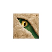 Guardanapos de Dinossauros de 12,5 x 12,5 cm - 16 unidades