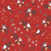 Tecido de jersey Xmas Birds Time - Katia