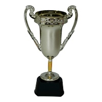 Troféu de campeão de 20 cm