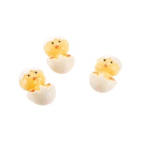 Molde para pintos de chocolate 24 x 18,5 x 1,5 cm - Silikomart - 5 cavidades