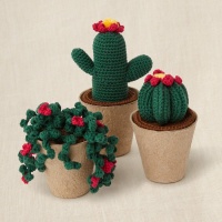 Kit de croché com caixa de oferta - Coleção Cactos - DMC