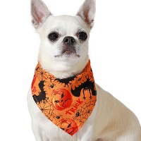 Lenço de abóboras de Halloween para pets