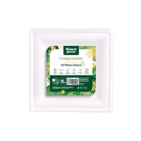 Pratos quadrados de cartão de 20 cm - 50 unid.