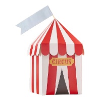 Caixas de circo personalizáveis de 23 x 10 cm - 4 unidades