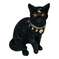 Gato preto espiritual de 28 x 23 cm