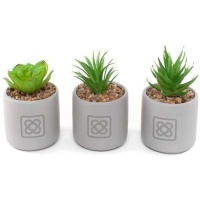 Cato artificial com vaso Panot sortido 7 x 7,5 cm