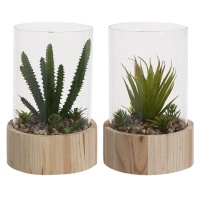 Planta de cacto artificial com vaso de vidro e base de madeira sortida 14 x 20 cm