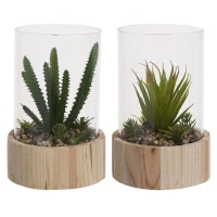 Planta de cato artificial com vaso de vidro e base de madeira sortida 14 x 20 cm