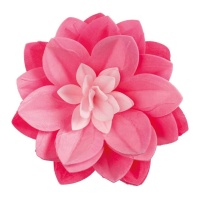 Flor de nenúfar gigante wafer 14 cm - Dekora - 1 unid.