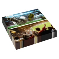Guardanapos Kick It Football 16,5 cm - 16 unid.