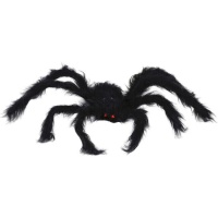 Aranha de olhos vermelhos peluda e preta de 50 cm
