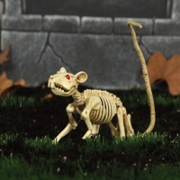 Esqueleto de rato de 20 cm
