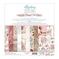 Kit de papel para scrapbooking da Blissful Time - Artis decor - 12 folhas