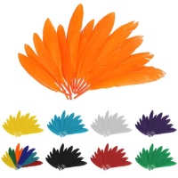 Penas de cor natural 2,5 x 14 cm - 60 pcs.
