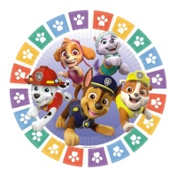 Pratos de Ação da Patrulha Pata Canina 23 cm - 8 unidades
