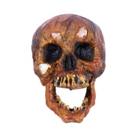 Crânio com aspeto queimado 16 x 15 x 21 cm