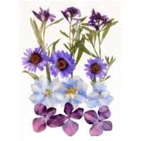 Flores secas prensadas Mix Purple - Artemio - 12 unid.