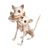Esqueleto de cão com 3 cabeças de 34 cm