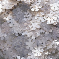 Flocos de neve de purpurina de 1 gr - PME