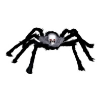 Aranha com caveira de 60 cm