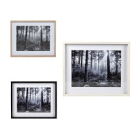 Moldura fotográfica floresta a preto e branco para fotografias de 30 x 40 cm - DCasa