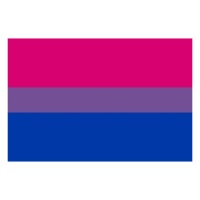 Bandeira bissexual de 0,90 x 1,50 m