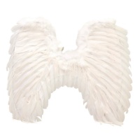 Asas de anjos brancos com penas