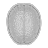 Molde plástico de cérebro - Amscan