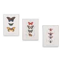 Quadro de borboletas de 30 x 40 cm - 3 unidades
