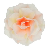 Hostia de Rosa pastella de 12,5 cm - FunCakes - 1 unidade