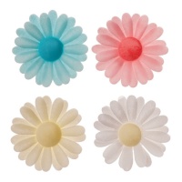 Bolachas de flores de margarida em cores suaves 4,5 cm - Dekora - 150 unid.