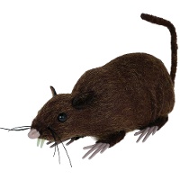 Rato marrom de 15 cm